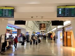 -约翰·菲茨杰拉德·肯尼迪国际机场