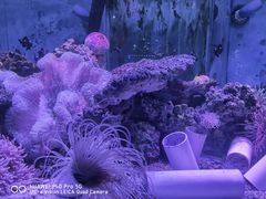 -荆州中山公园动物园