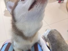 -威高广场