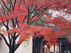 -惠山古镇·寄畅园