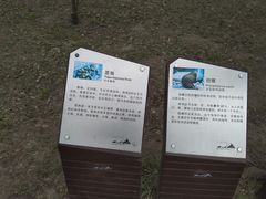 -哈尔滨大剧院