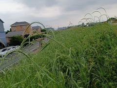-乌龙涧铁道铁轨景
