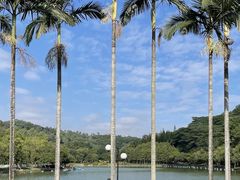-莲花山公园