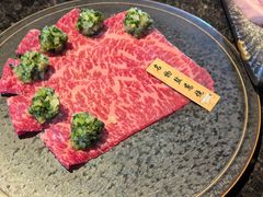 -老乾杯(深圳湾万象城店)