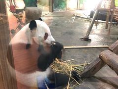 -柳州市动物园