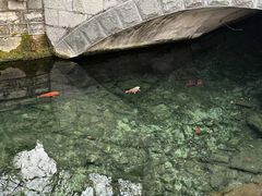 -趵突泉景区