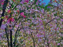 -广东工业大学(大学城校区)