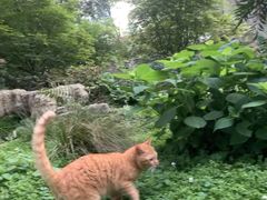 -成都市活水公园