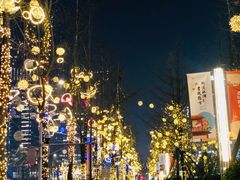 -合景·悠方(成都店)