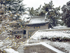 -湛山寺