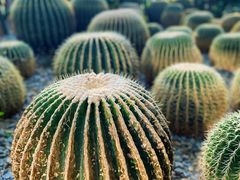 -祥源·阜阳生态乐园