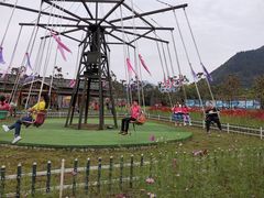 -杨家寨
