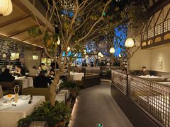 -桂满陇·海市蜃楼·黑金(国金店)