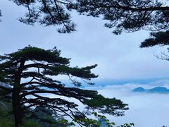 -黄山风景区