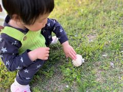 -洪湖悦兮半岛国际温泉度假村