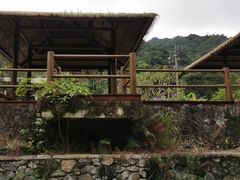 -海南热带雨林国家公园吊罗山景区