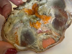 -欢乐海岸美食联盟