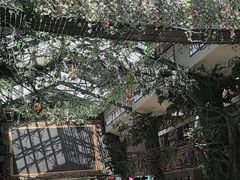 -呀诺达热带雨林