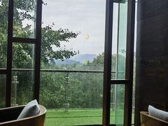 -逸廊大堂吧-下午茶·简餐-千岛湖自由洲际殿