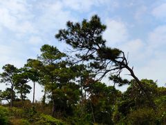 -冠头岭