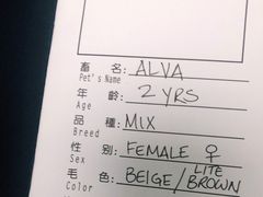 -申普宠物医院·心脏介入·心血管微创(总院)