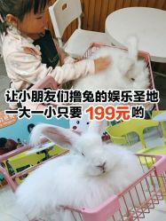 -萌兔星空蹦床撸兔馆