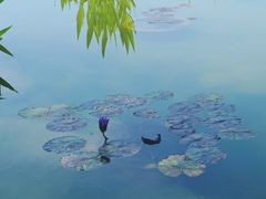 -莲花池公园