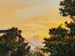 -浦江镇(地铁站)