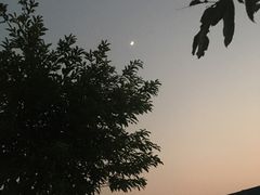 -太平洋咖啡(五月花店)