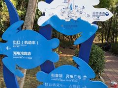 -广东惠东海龟国家级自然保护区
