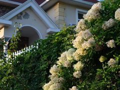 -丹东天桥沟景区