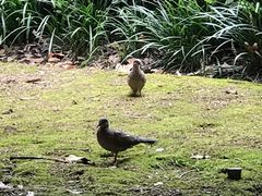 -苏州河梦清园环保主题公园