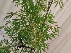 -上地宴·中关村的会客厅(清河高铁站店)