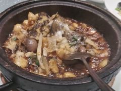 -海派美食·家宴海鲜青岛菜·石锅鲽鱼头(东方城店)