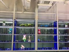 -鲸渝眼镜·浅目视光(春熙路店)