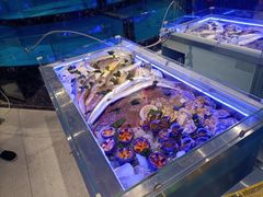 水产区-丁字口海鲜热炒·烧烤大排档