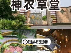 -广州神农草堂中医药博物馆