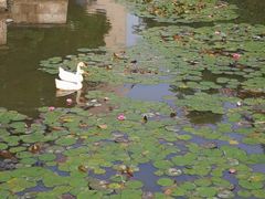 -绍兴鉴湖君澜大酒店