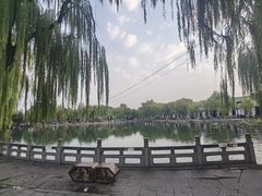 -百花洲