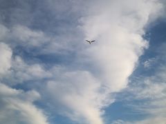 -小巴塞罗那海滩