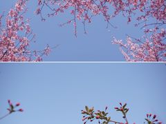 -白塘生态植物园
