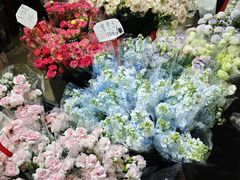 -循礼门鲜花花市(武汉循礼门店)