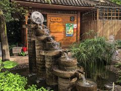 -山大王菌莊