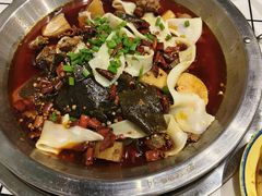-晓彭肥肠鸡·泡椒鸡火锅(水木天地店)