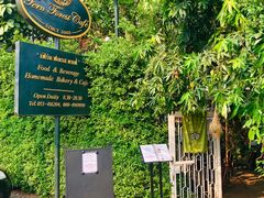 -Fern Forest Cafe