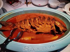 -阿五黄河大鲤鱼(英协路店)
