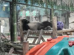 -栾川竹海野生动物园