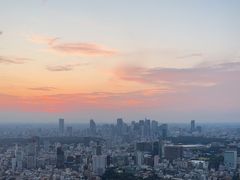 -六本木新城展望台(东京城市景观)