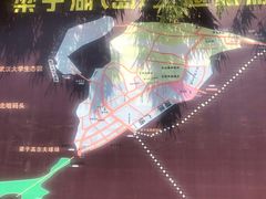 -梁子岛生态旅游区