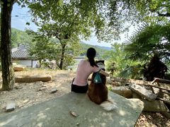 -塔川景区